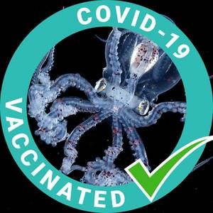 Meet your Posher, Laurie